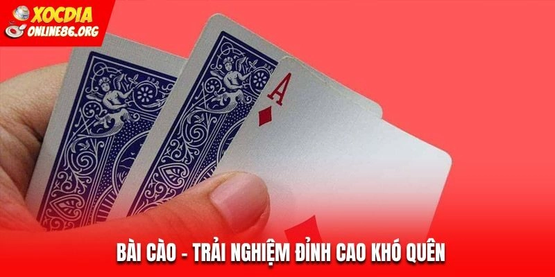 bai cao Bài Cào – Trải Nghiệm Đỉnh Cao Khó Quên Tại Nhà Cái